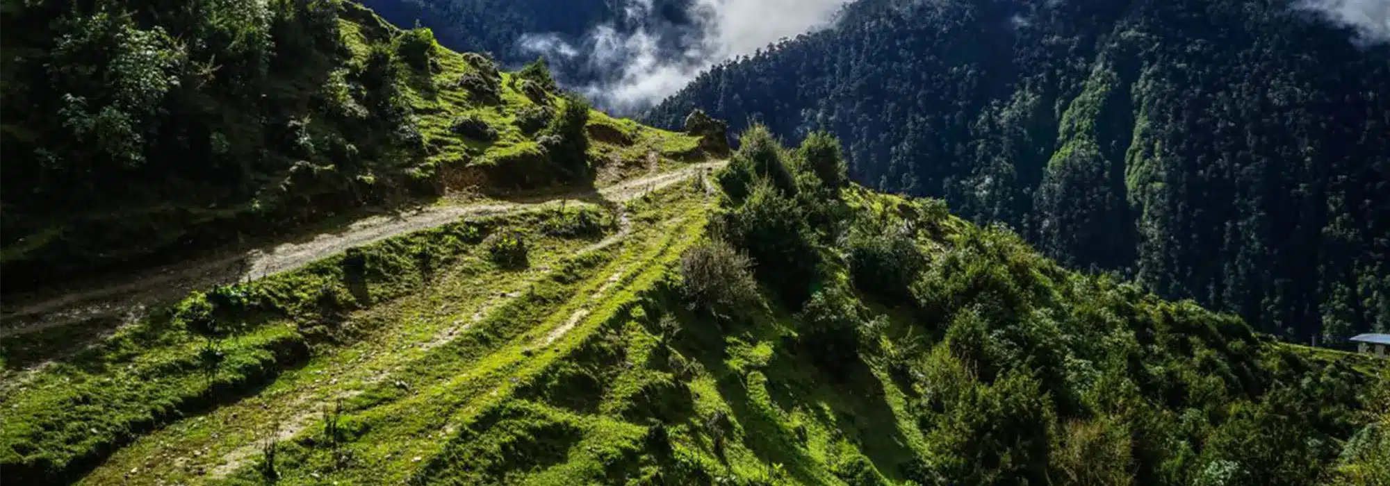 Laya-Gasa-Trekking trial