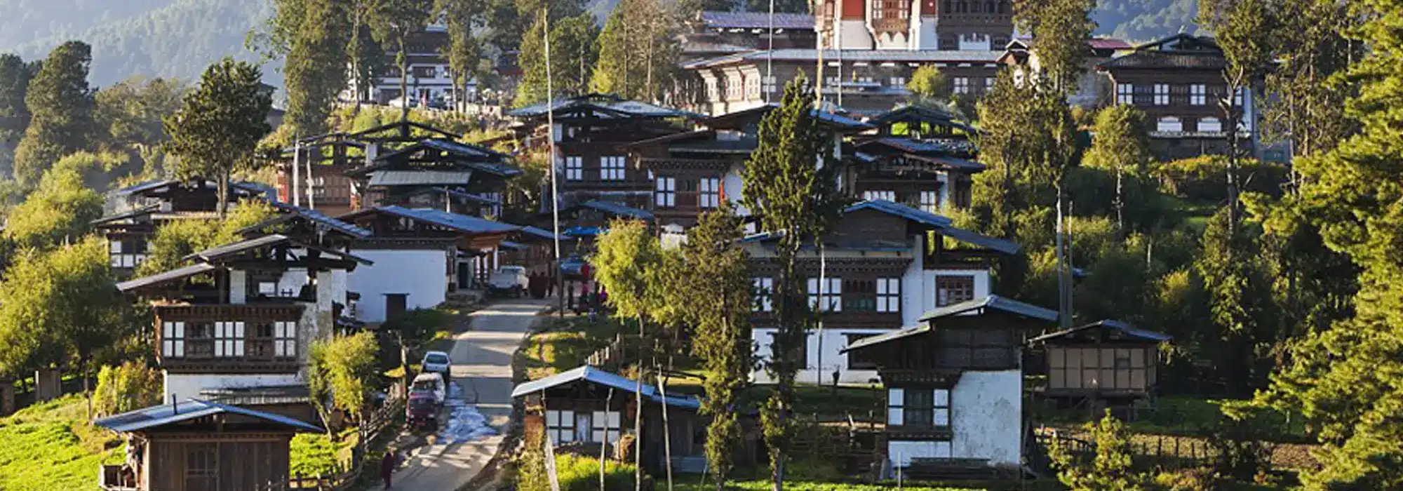 Gangtey Valley - BHUTAN