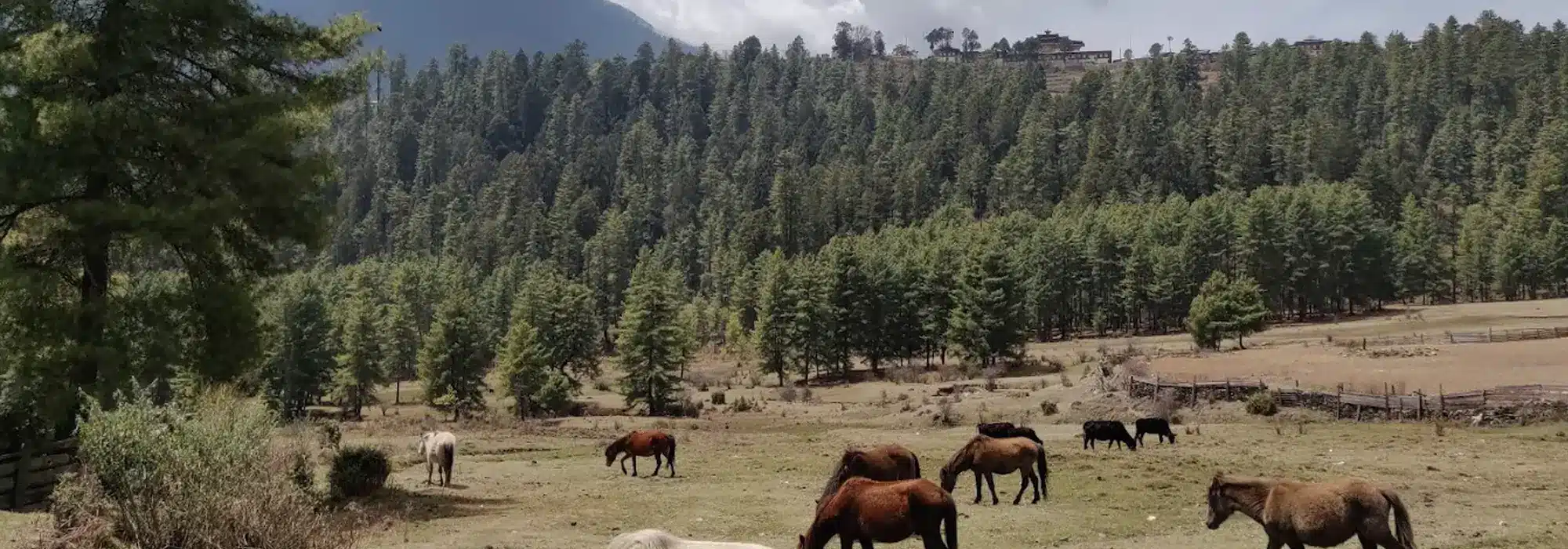 Phobjikha Valley -Bhutan
